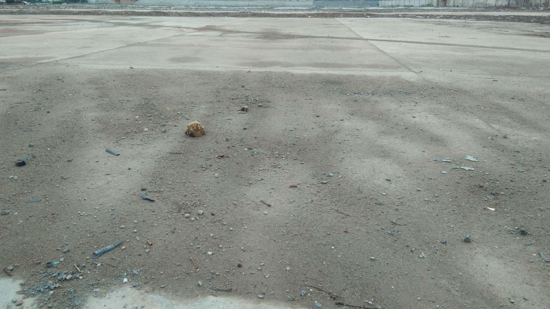 浦東新區(qū)場地出租90畝工業(yè)性質交通便捷獨門獨院