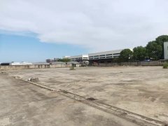 浦東外高橋150畝場地全硬化可做集裝箱